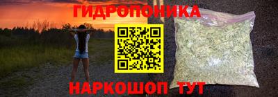 крисы Керчь